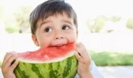 朝堂吃瓜免费阅读,宫廷秘闻，吃瓜群众免费探秘